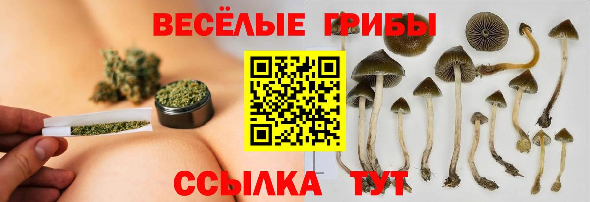 Псилоцибиновые грибы GOLDEN TEACHER  Вход с VPN  Янаул 
